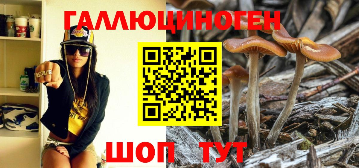 Галлюциногенные грибы мицелий  Галлюциногенные грибы Psilocybine cubensis  Вход с VPN  Учалы 